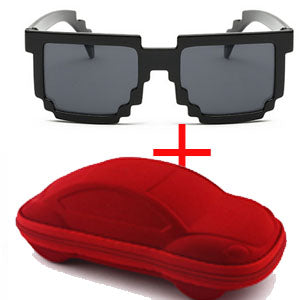 Minecraft Sunglasses with a Case