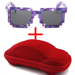 Minecraft Sunglasses with a Case
