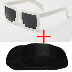 Minecraft Sunglasses with a Case