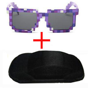 Minecraft Sunglasses with a Case