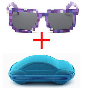 Minecraft Sunglasses with a Case