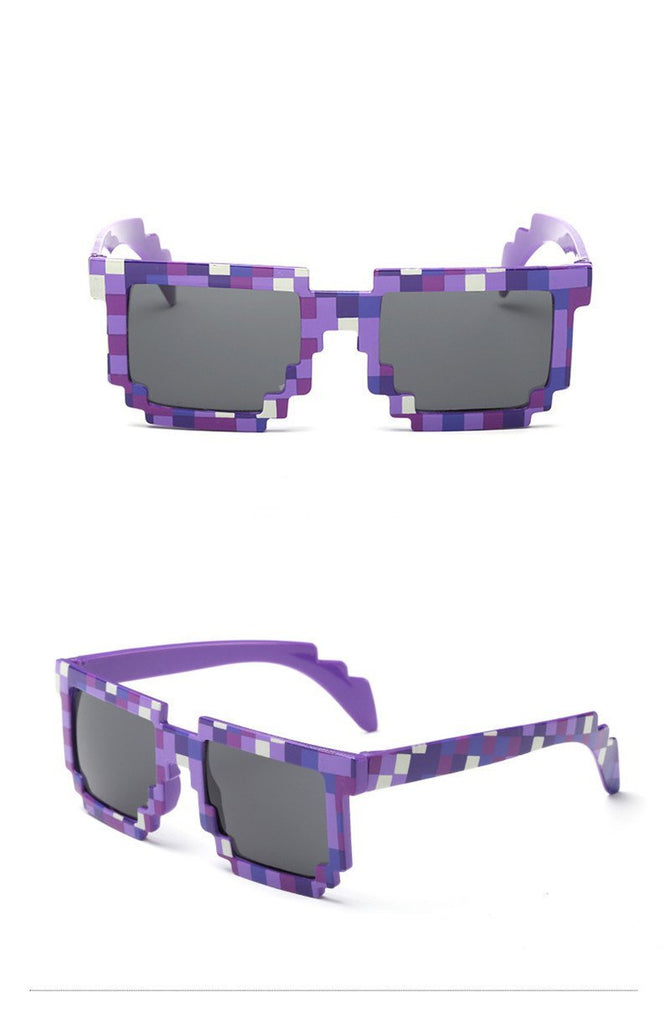 Minecraft Sunglasses with a Case