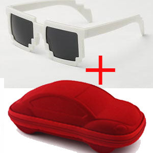 Minecraft Sunglasses with a Case